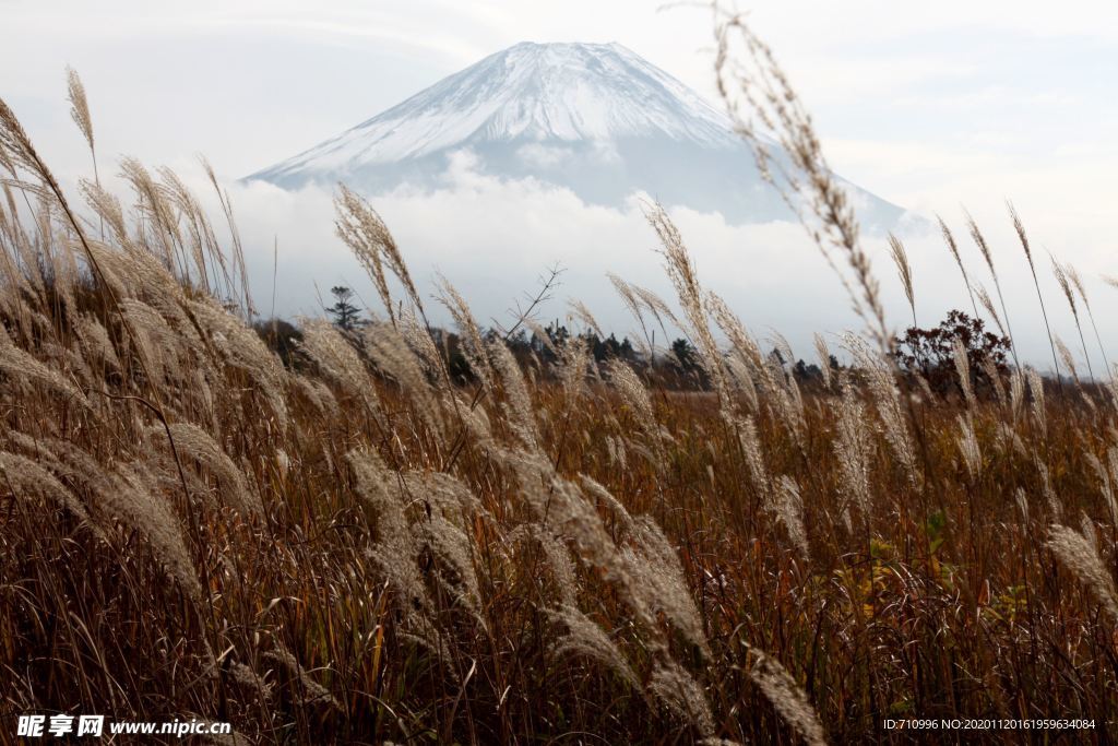 富士山