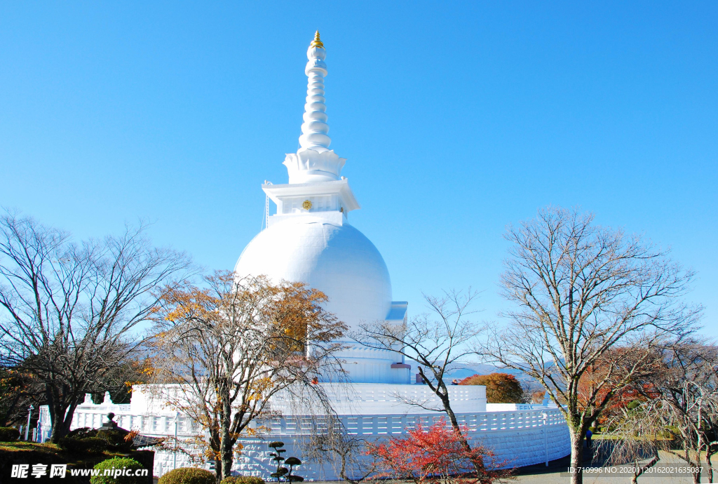 日本河口湖景点