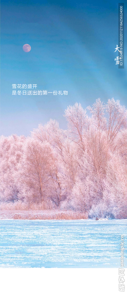 大雪质感节气海报
