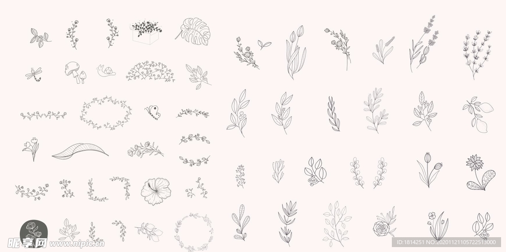 树叶花瓣 树叶标志