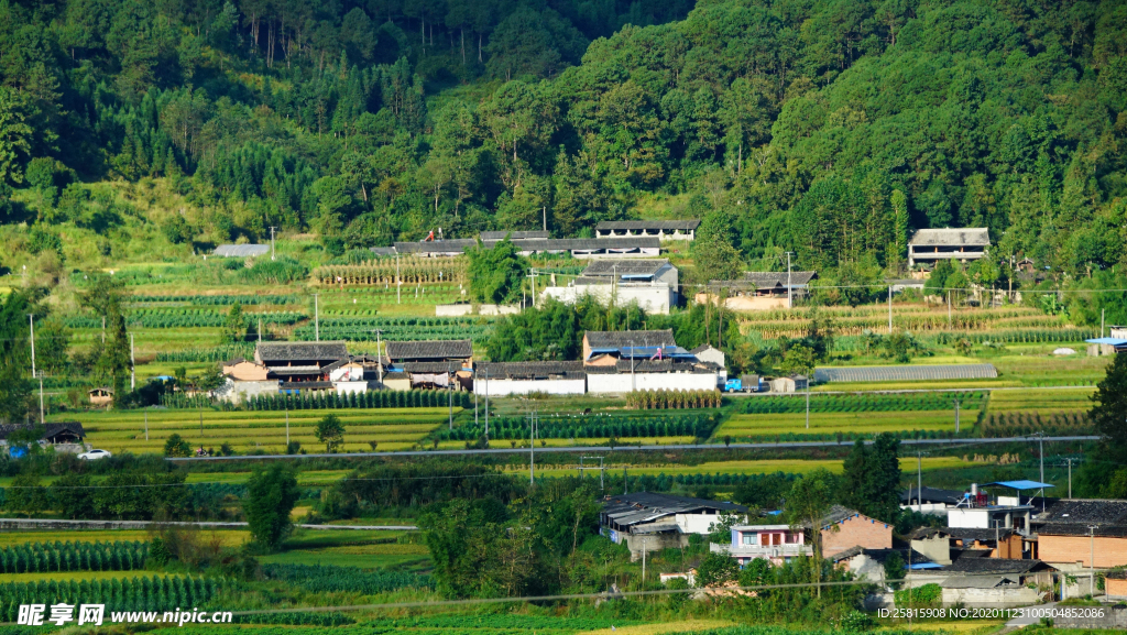 田园风光 农田 梯田 自然景