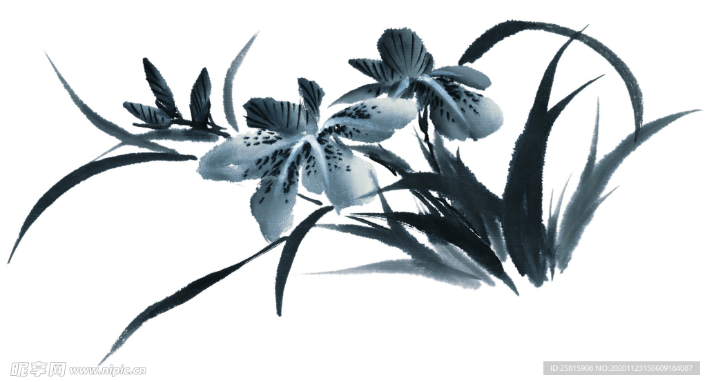 水墨花卉