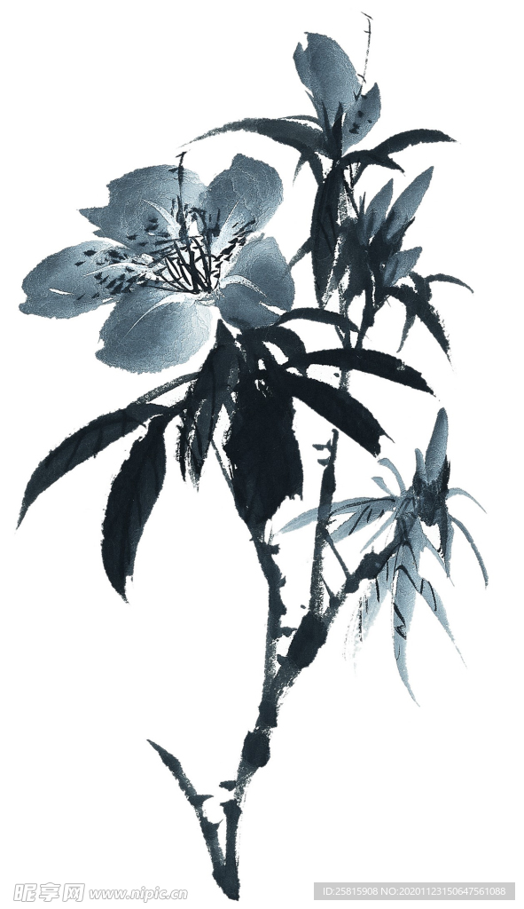 水墨花卉