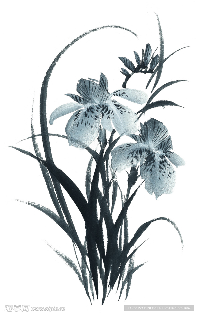 水墨花卉