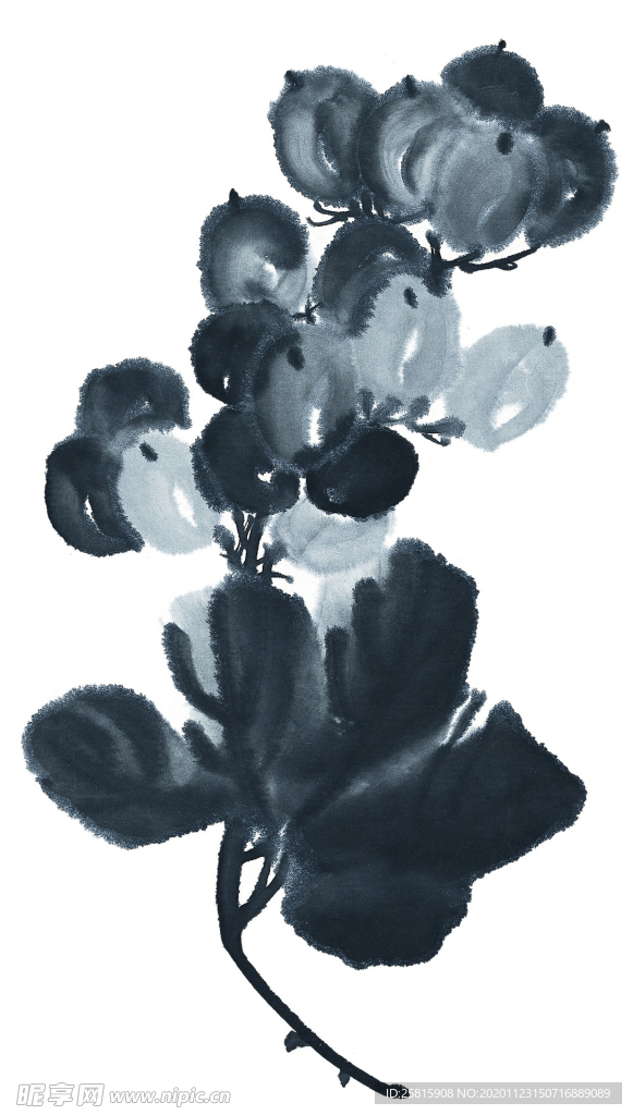 水墨花卉
