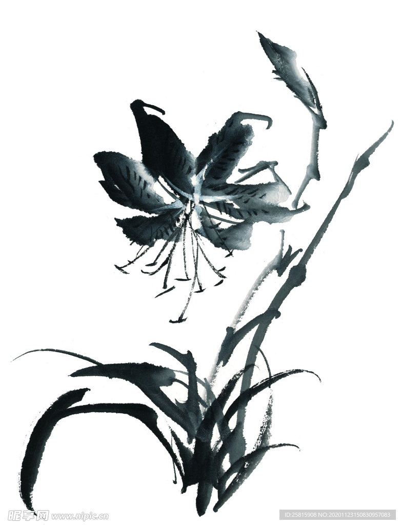 水墨花卉