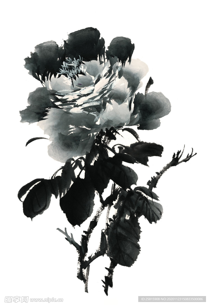 水墨花卉