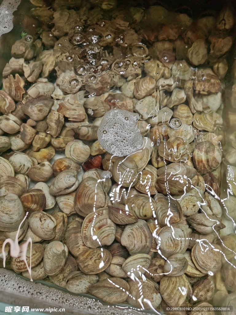花甲