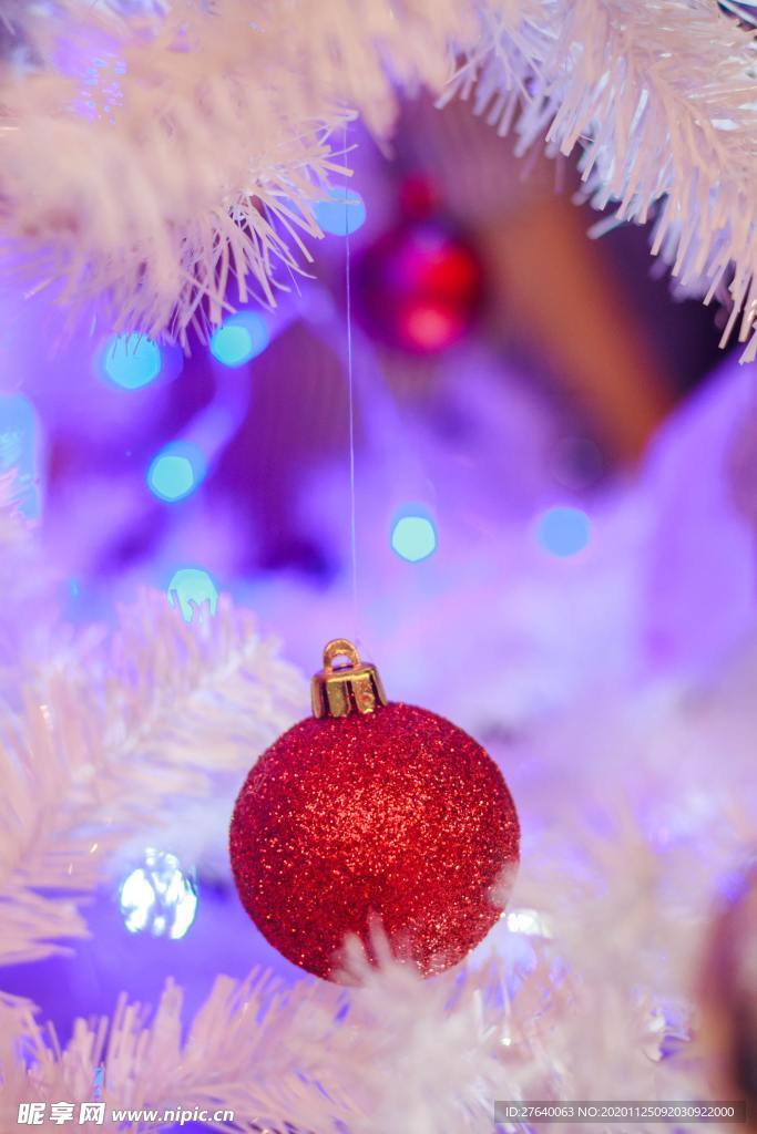 圣诞树 圣诞灯光图片