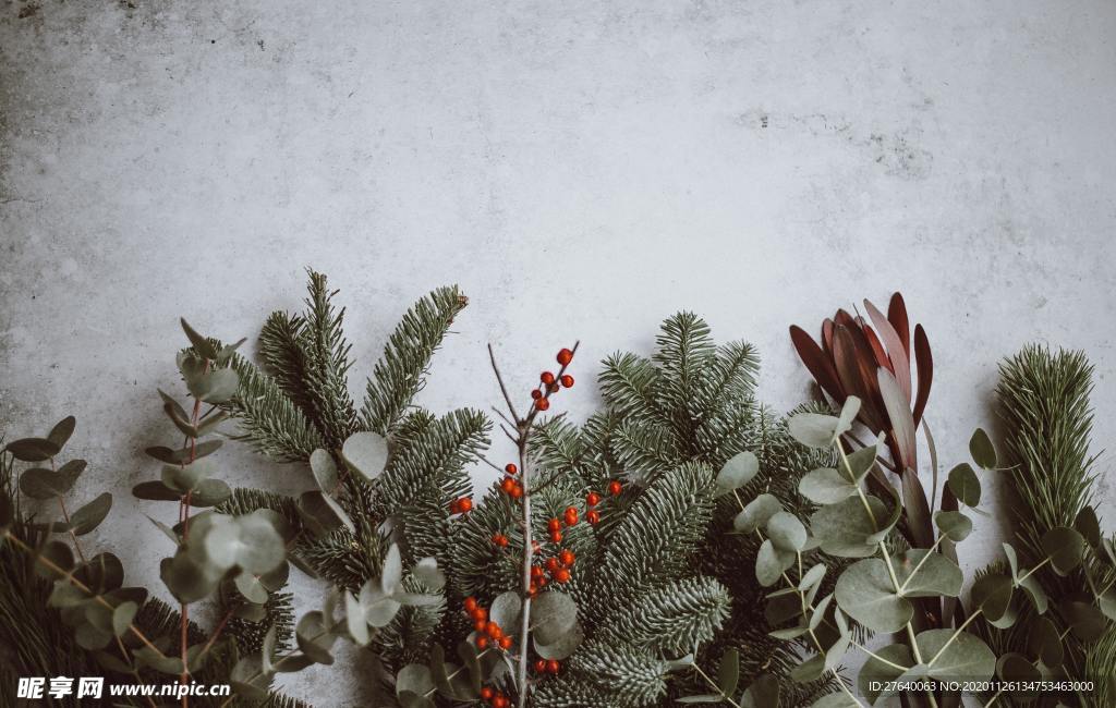 圣诞树 装饰 场景图片