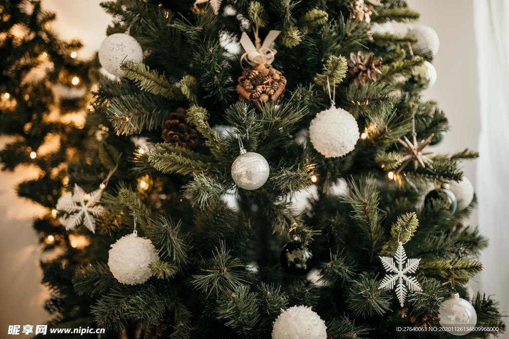 圣诞树 装饰 场景图片