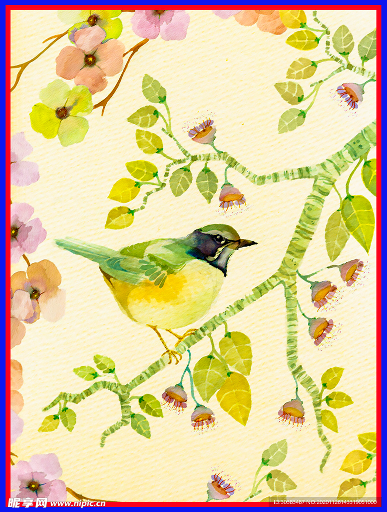 手绘 植物 鸟类