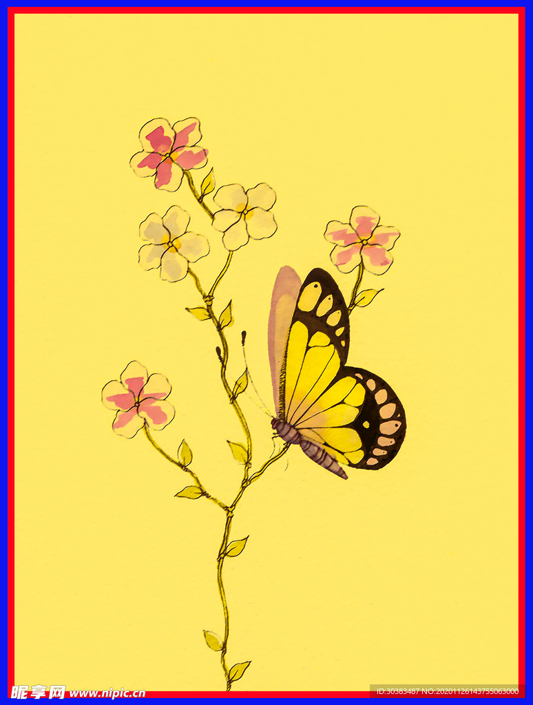 蝴蝶 方巾 方框