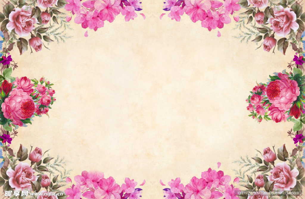 花卉 浅色 背景