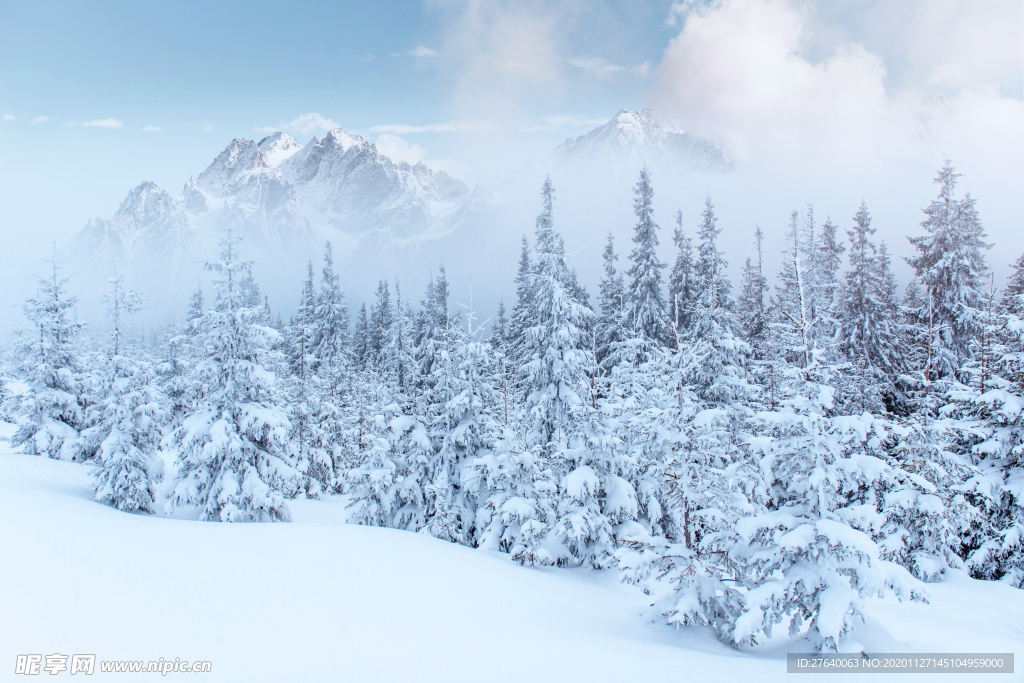 冬天雪景图片