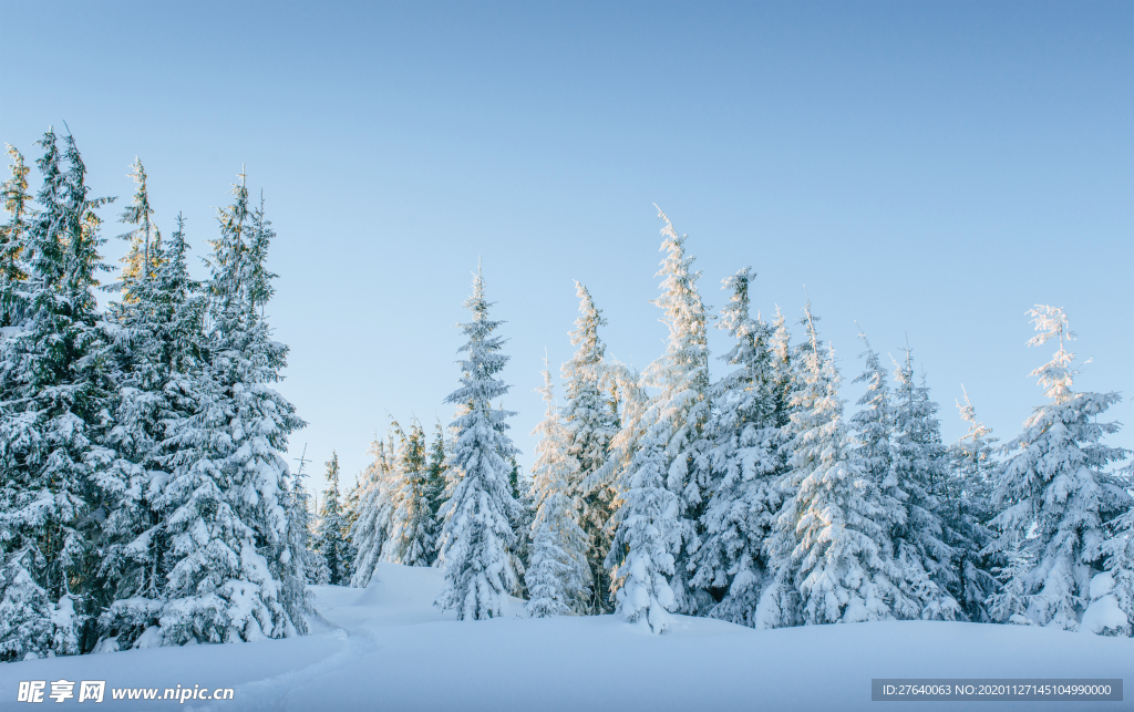 冬天雪景图片
