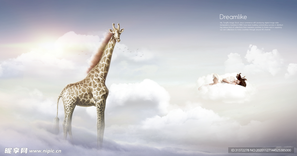 梦觉创意动物合成图片