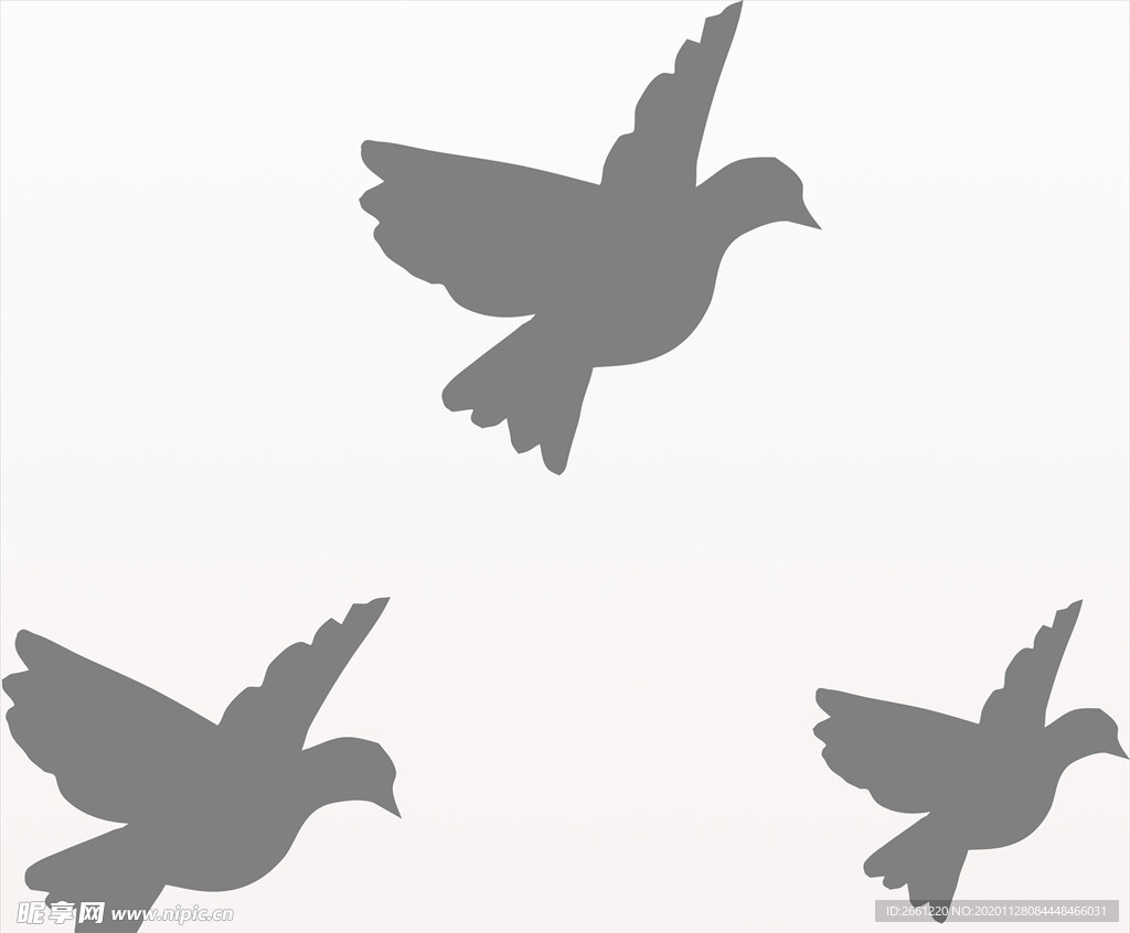灰色的鸽子免抠图动植物元素