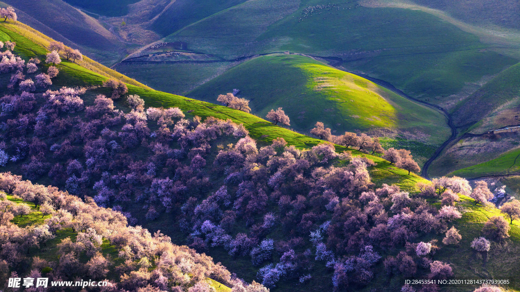 风景
