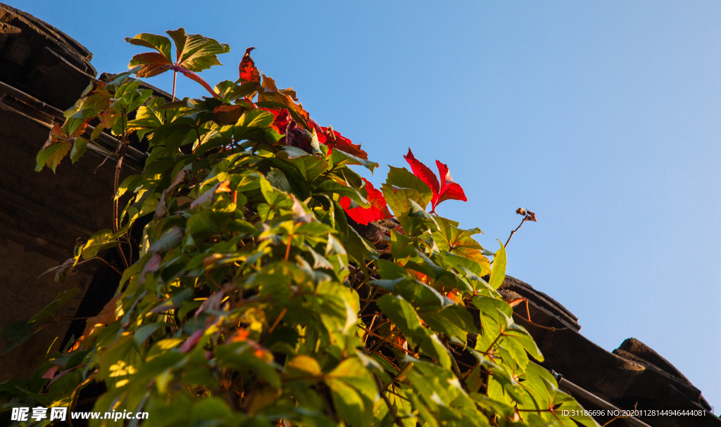 南关厢历史文化街区