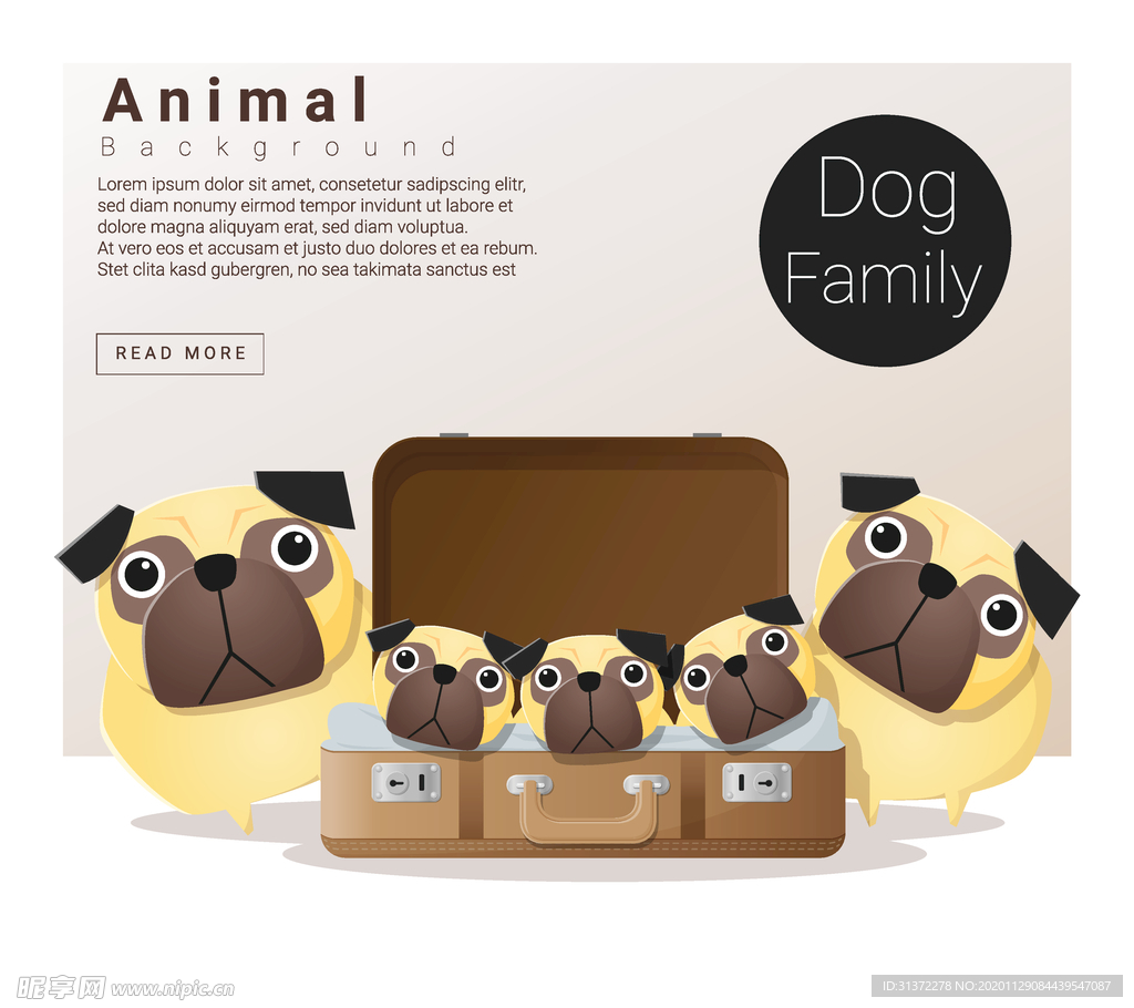 创意动物合成图片