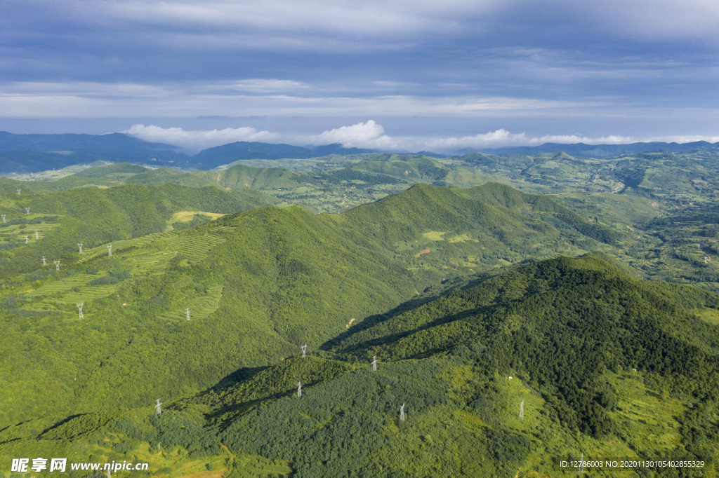 森林下的高压铁塔