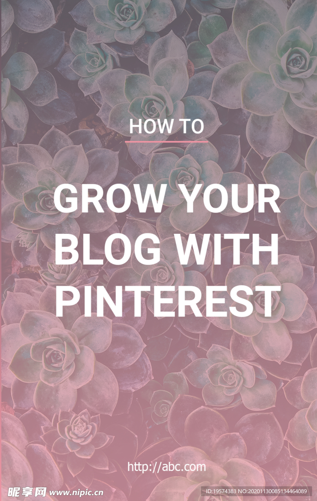 社交博文和Instagram