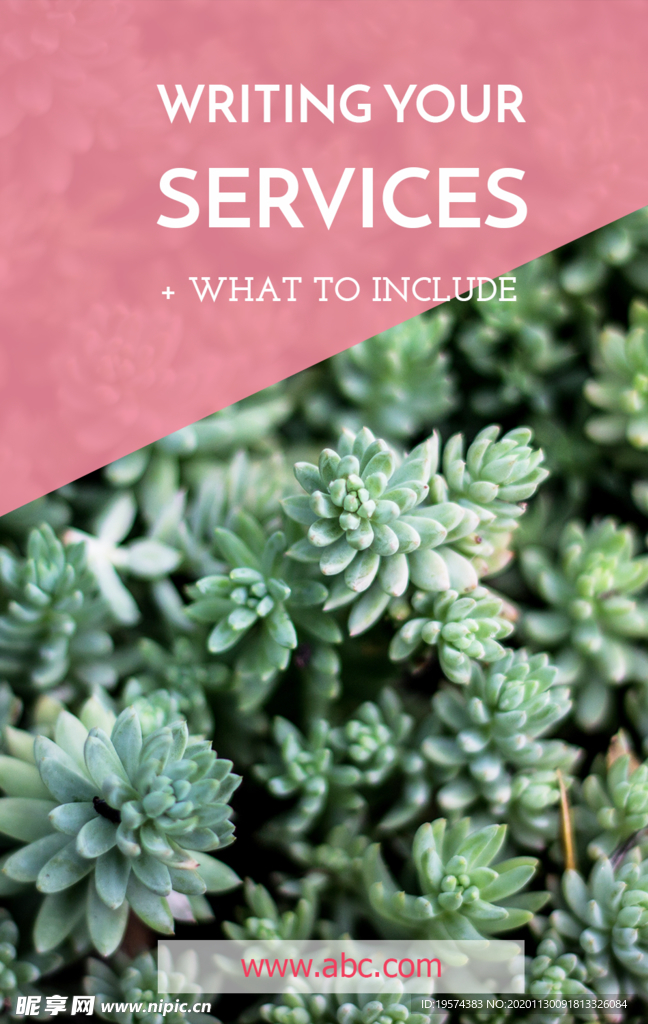 社交博文和Instagram