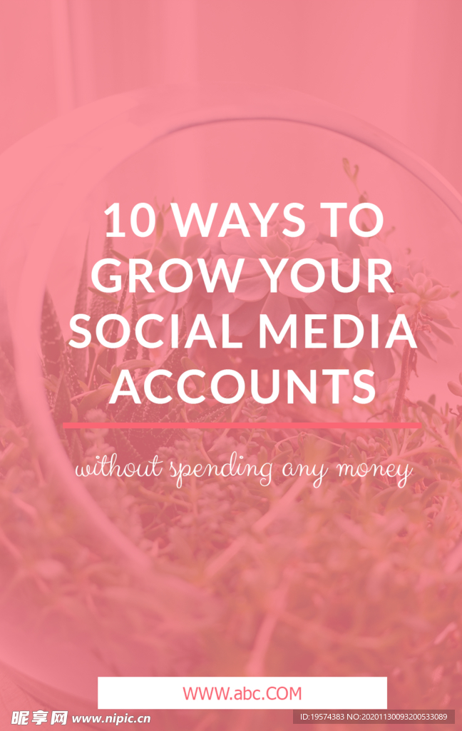 社交博文和Instagram