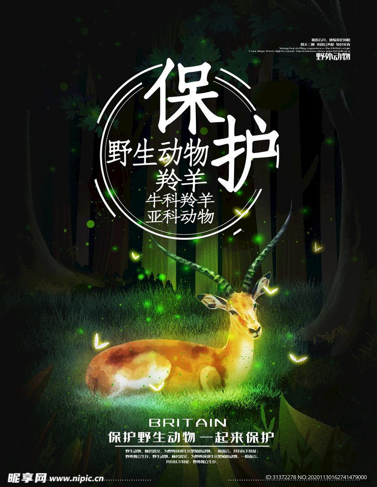 梦觉创意动物合成图片