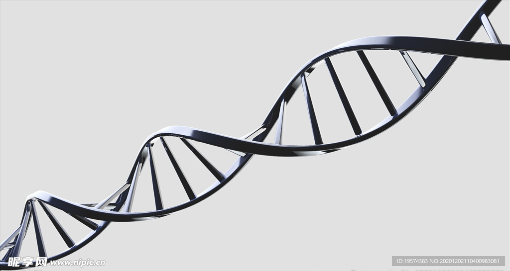 C4D 模型DNA 模型 基因