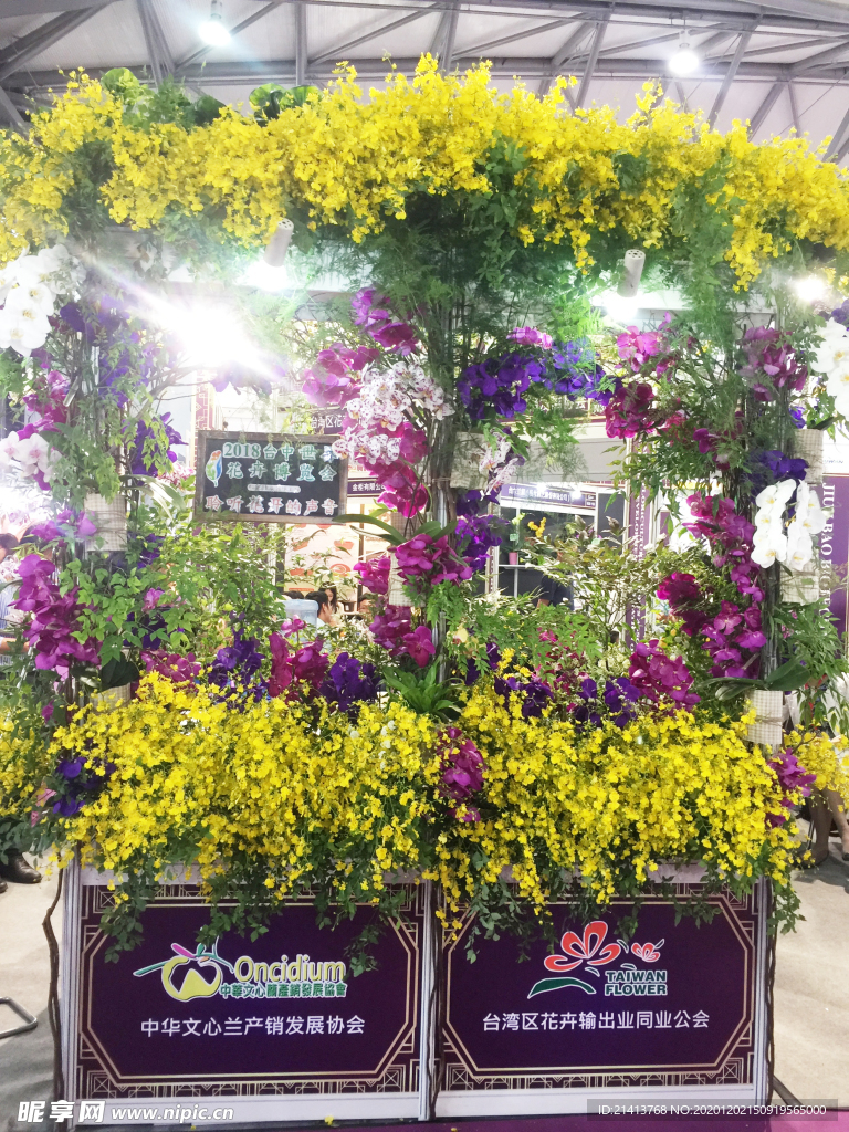 鲜花花朵花卉