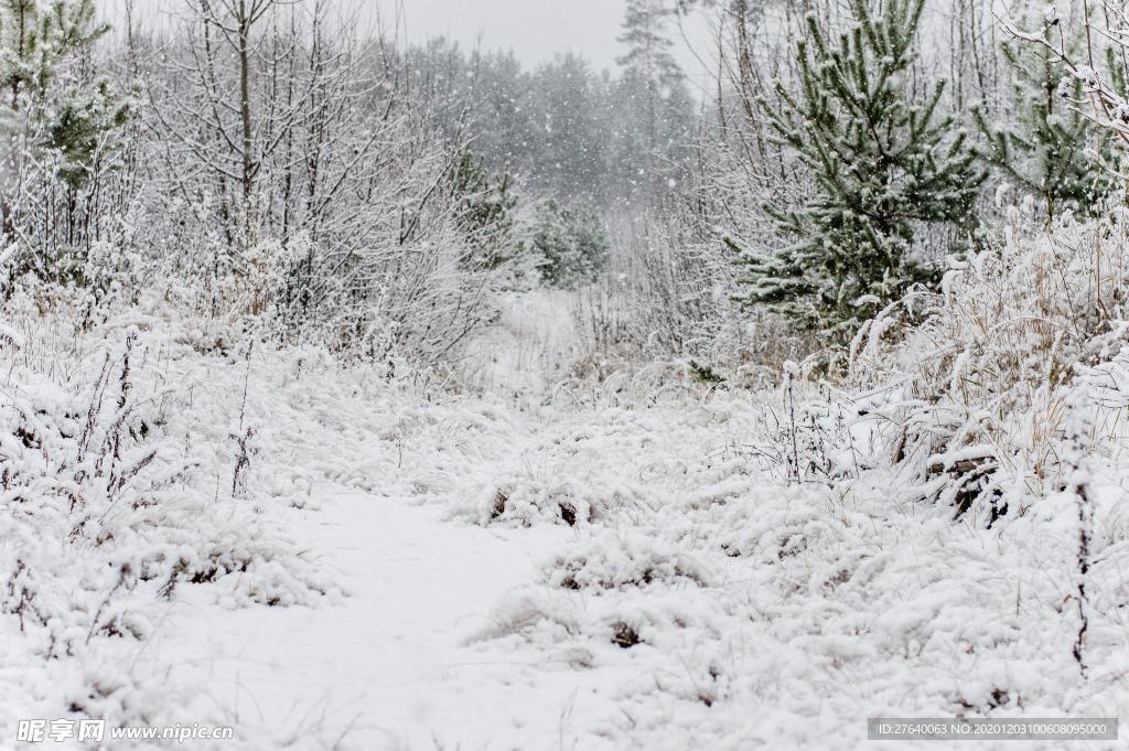 雪景图片