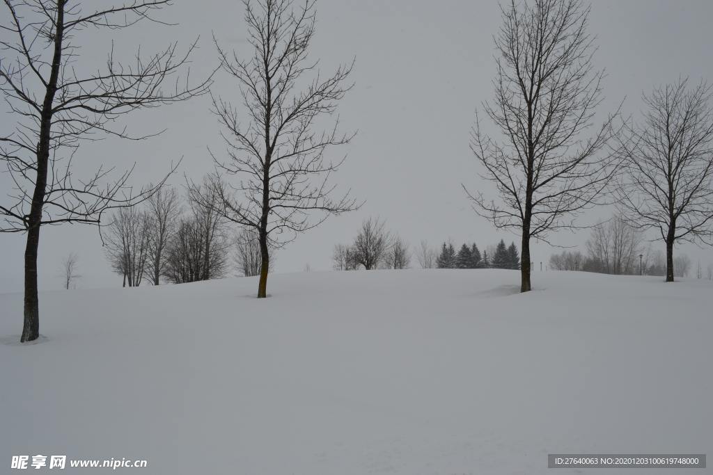 雪景图片