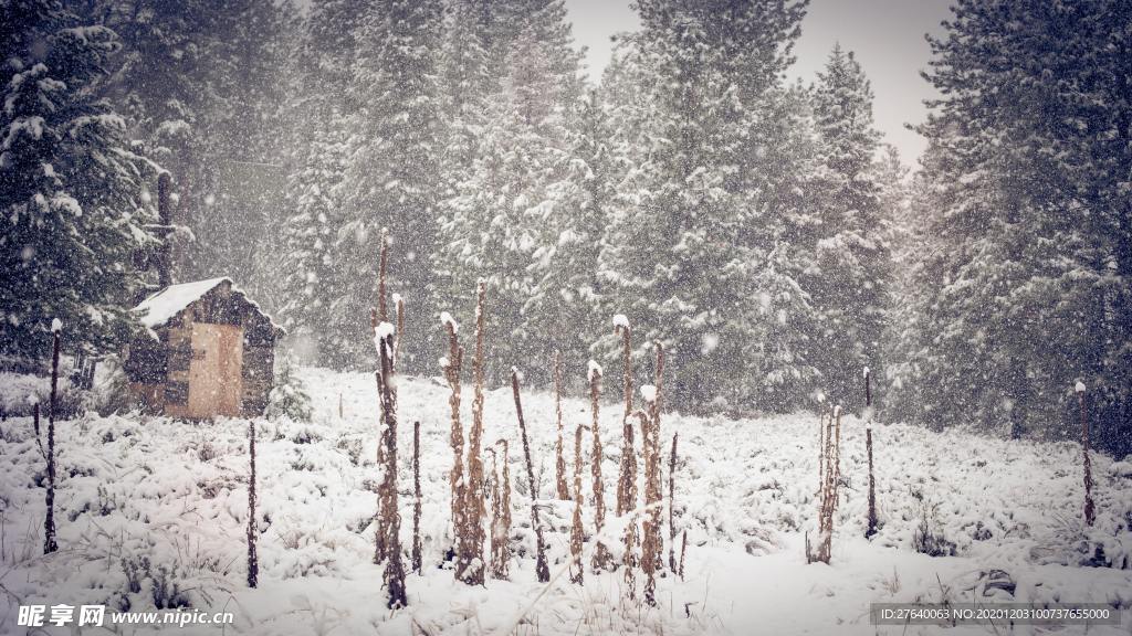 雪景图片
