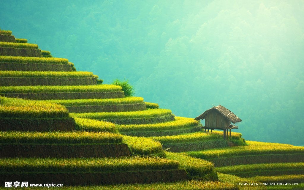 风景