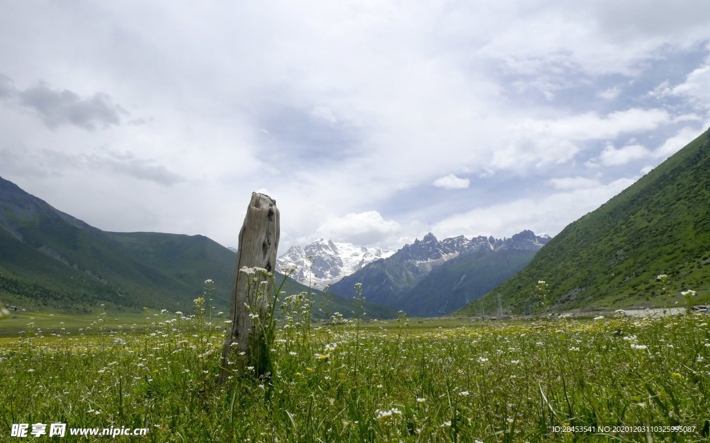 风景