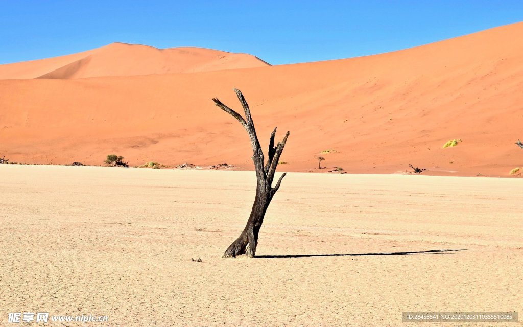 风景