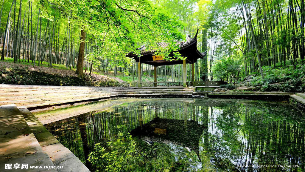 风景