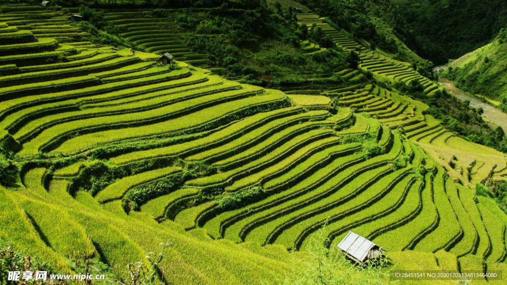 风景