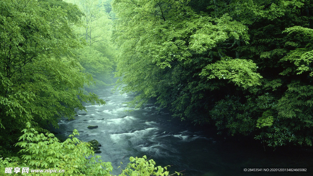 风景