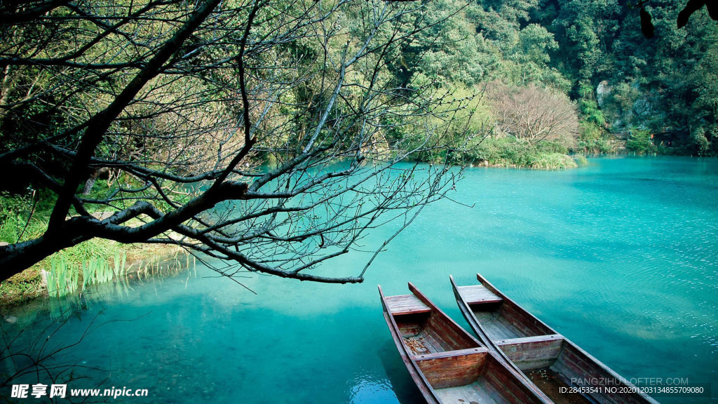 风景
