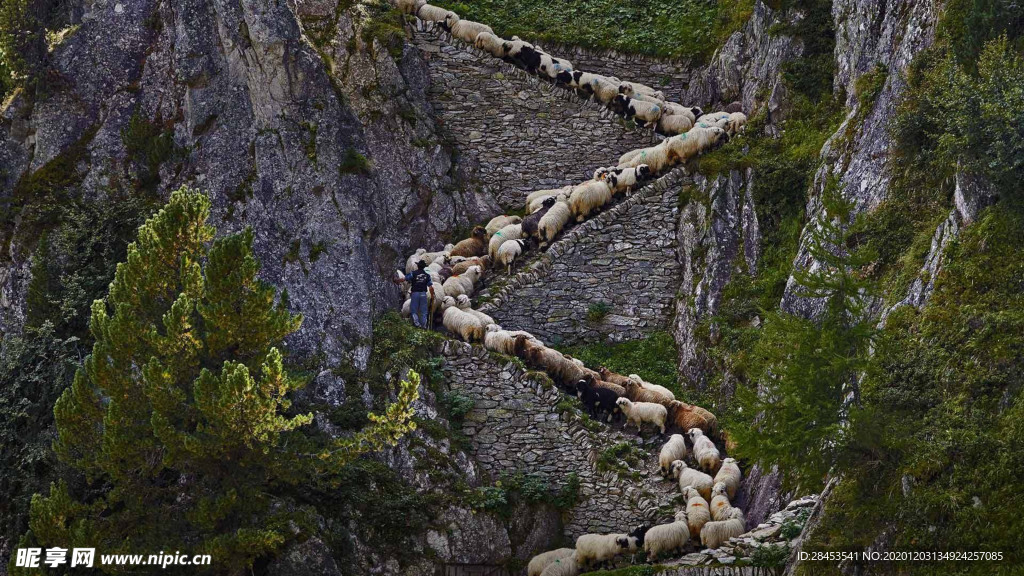 风景