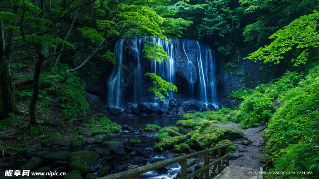 风景