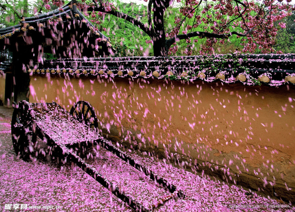 风景