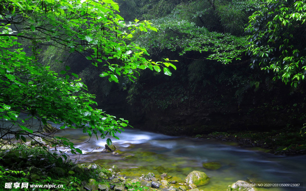 风景