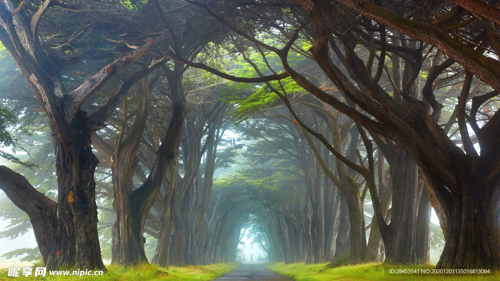 风景