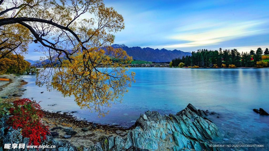 风景