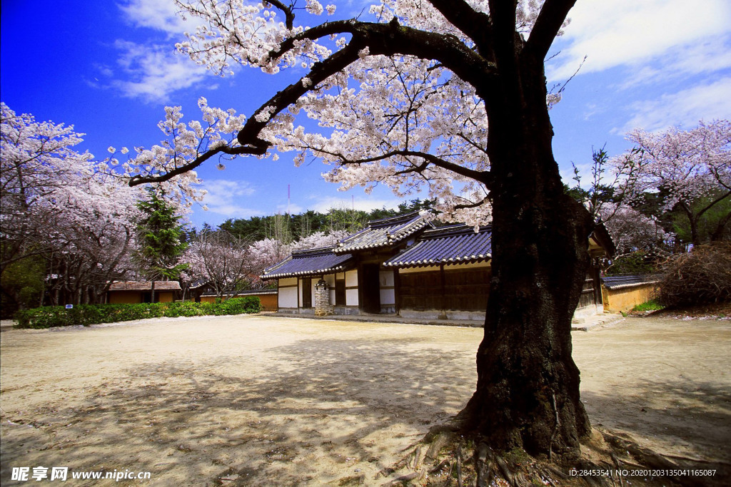风景