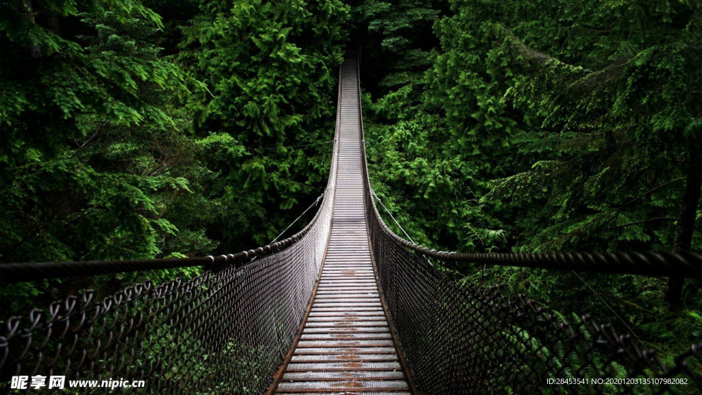 风景
